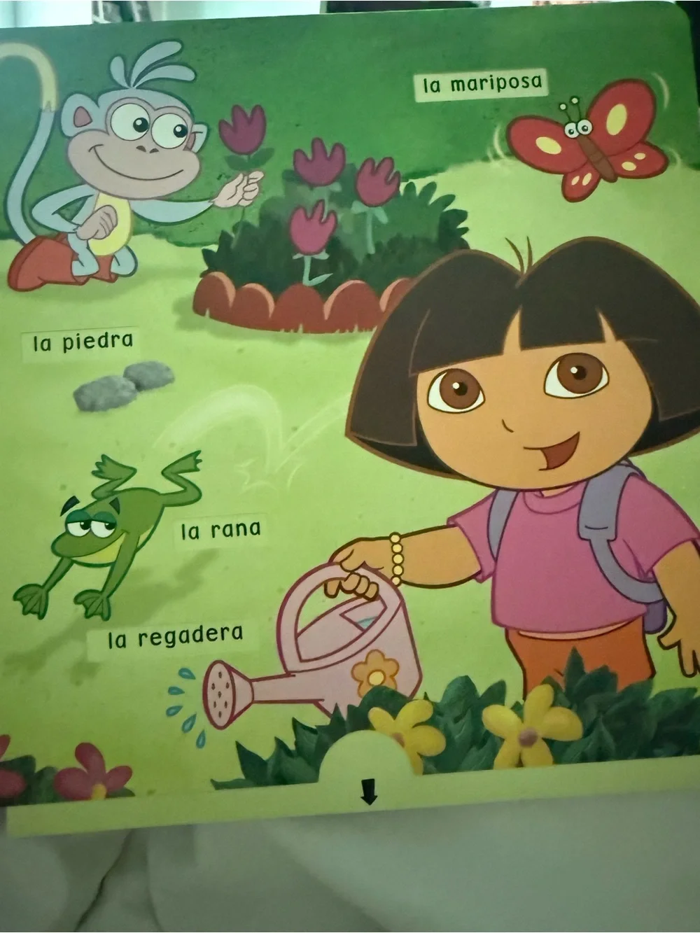 Dora's Book of Words / Libro de palabras de Dora - Green Bilingual Kids Toy